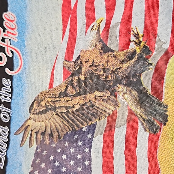 Lg USA Eagle Flag LAND OF THE FREE HOME OF THE BRAVE - Picture 4 of 4